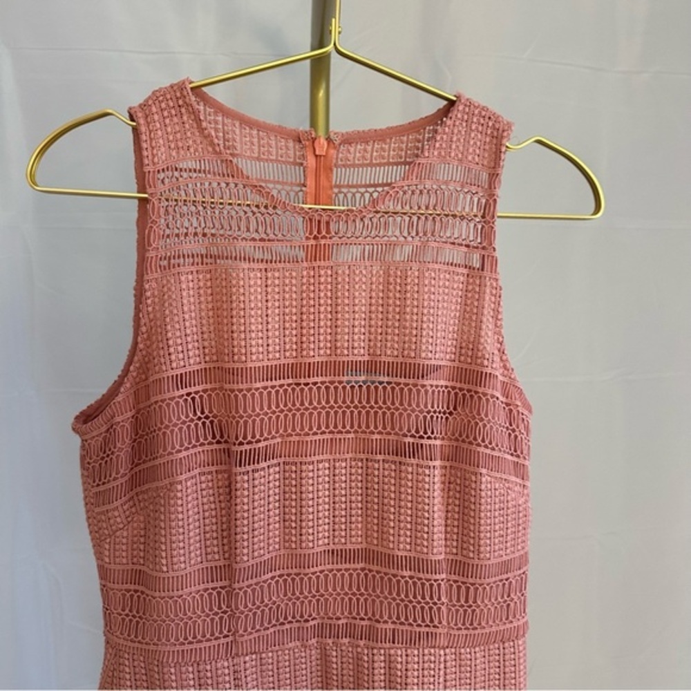 Antonio Melani BEAUTIFUL pale pink drop waist lace dress. Lines. Size 2. - Picture 3 of 9